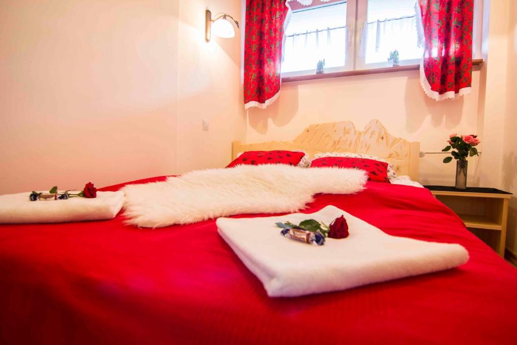 Apartament Widok זקופאנה חדר תמונה